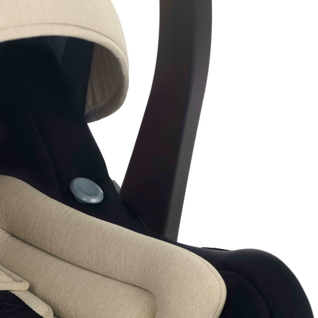 BE COOL Travel Carrier